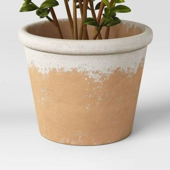 20” Faux Boxwood in Terracotta Pot Green - Threshold Studio McGee - Target 2022 - Picture 4 of 10